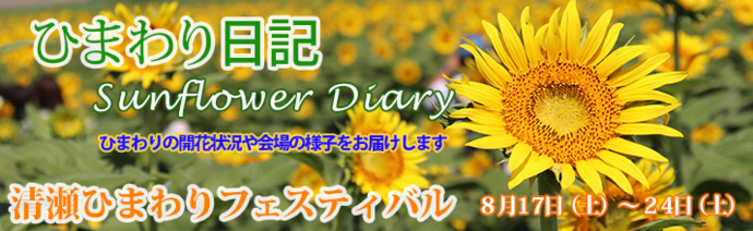 ひまわり日記　Sunflower Diary　ひまわりの開花状況や会場の様子をお届けします　清瀬ひまわりフェスティバル　8月17日（土曜日）～24日（土曜日）