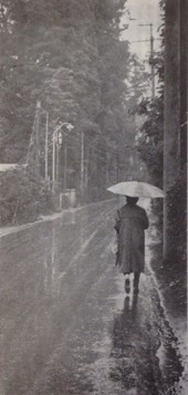 写真：昭和41年の「町報きよせ」に掲載された雨の志木街道