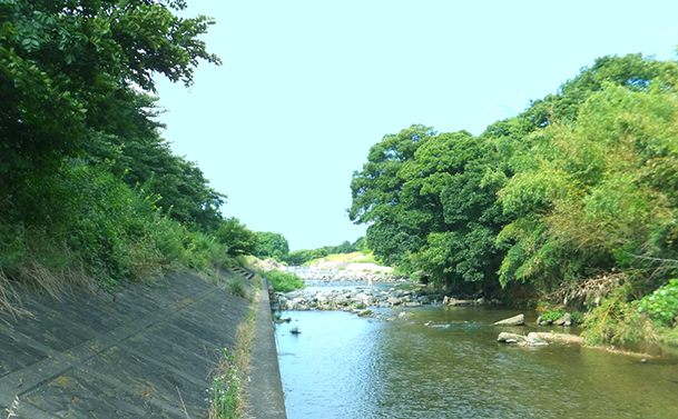 柳瀬川の様子