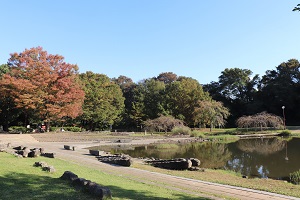 写真：金山緑地公園