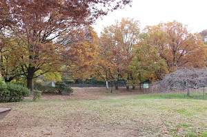 写真：金山緑地公園