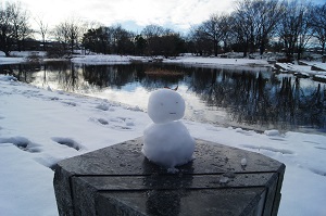 写真：雪の金山緑地公園