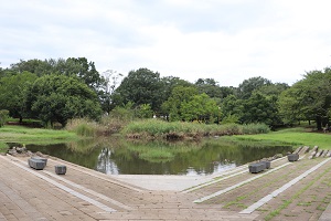 写真：金山緑地公園1