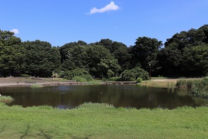 写真：金山緑地公園2