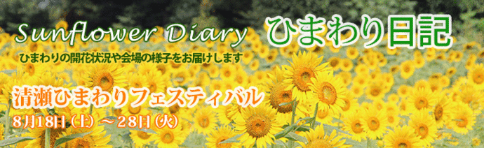 Sunflower Diary　ひまわり日記　ひまわりの開花状況や会場の様子をお届けします　清瀬ひまわりフェスティバル　8月18日（土曜日）～28日（火曜日）