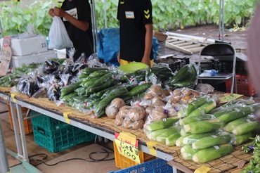 写真：野菜販売の様子