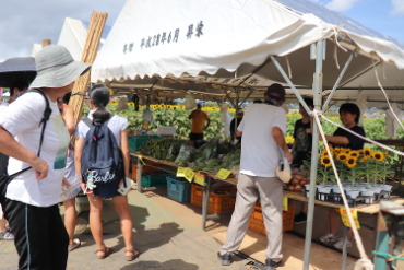 写真：農作物やミニひまわりの販売の様子