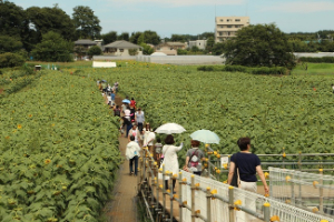 写真：来場された人たちの様子2