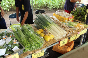 写真：野菜販売の様子2