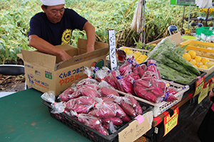 写真：野菜販売の様子