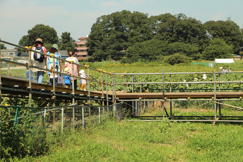 写真：通路と園児