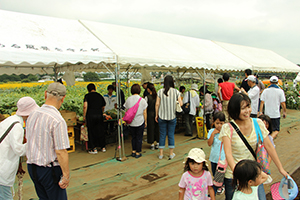 写真：ひまわりフェスティバル会場に訪れたお客さん