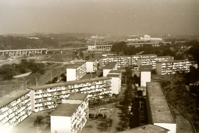 写真：台田団地と武蔵野線