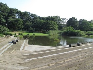 写真：清瀬金山緑地公園