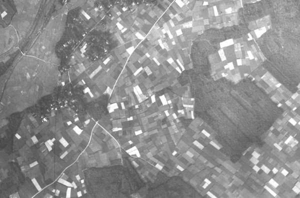 写真：昭和30年の旭が丘団地周辺の空中写真