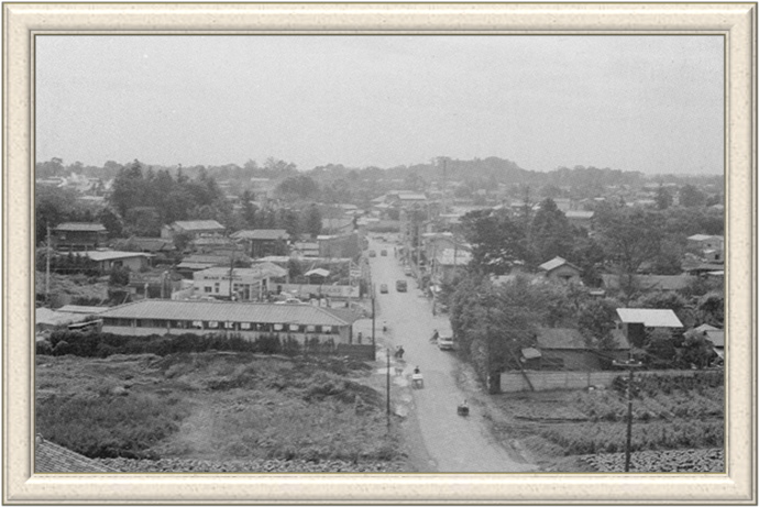 写真：昭和39（1964）年の小金井街道
