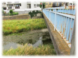 写真：現在の梅坂橋