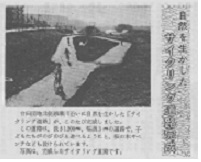 写真：「自然を生かしたサイクリング道路完成」の市報記事
