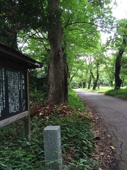 写真：東京病院にある＜東京療養所＞の名残　リハビリの「出発点」の碑