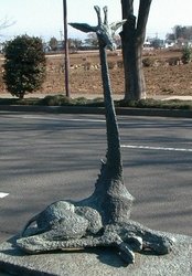 写真：幼いキリン・堅い土