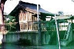 写真：八雲神社