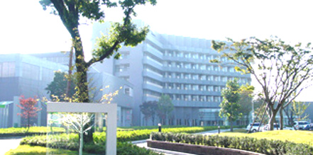 写真：東京病院の桜の園と社会事業大学付近2