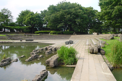 写真：清瀬金山緑地公園1