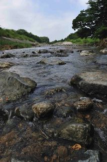 写真：柳瀬川3