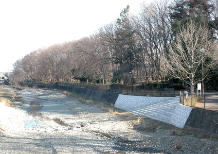 写真：空堀川と中里緑地保全地域1