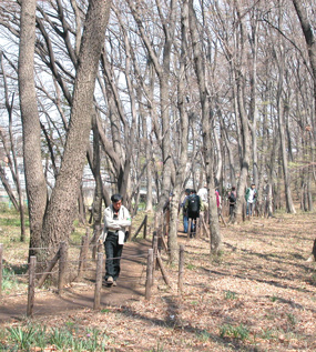 写真：空堀川と中里緑地保全地域3