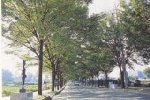 写真：駅からケヤキ通り