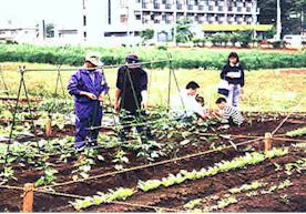 写真：土・農と親しむ