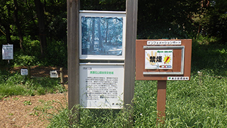 写真：第2回まち歩き松山緑地保全地域