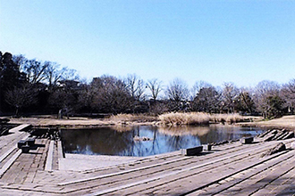 写真：第3回清瀬さんぽ　金山緑地公園