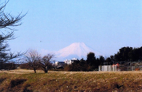 写真:柳瀬川から望む富士山