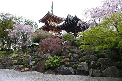 写真：円福寺