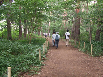 写真：第5回清瀬さんぽ　松山緑地保全地域1