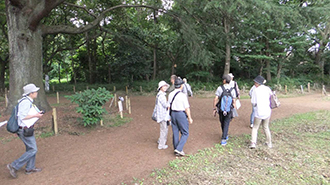 写真：第5回清瀬さんぽ　松山緑地保全地域2