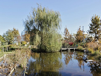 写真：下宿ビオトープ公園