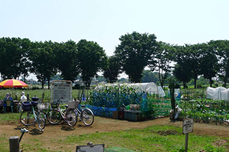 写真:市民農園