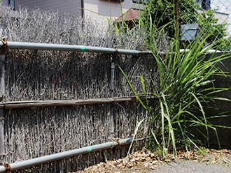 写真：竹の穂先を使った垣柵