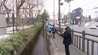 写真：第7回清瀬さんぽ　野火止用水