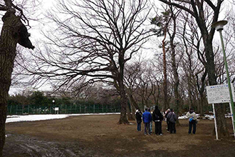 写真:竹丘公園