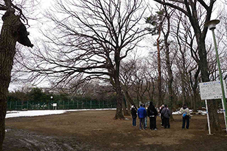 写真：竹丘公園