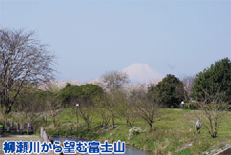 写真：景観4　柳瀬川から望む富士山