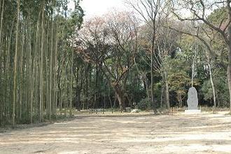 写真：台田の杜