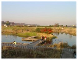 写真：金山調節池