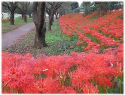 写真：下宿運動公園