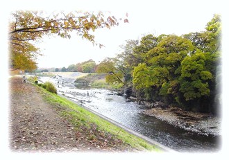 写真：柳瀬川