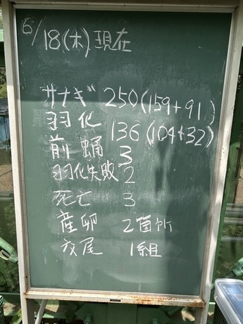 0618kokubann